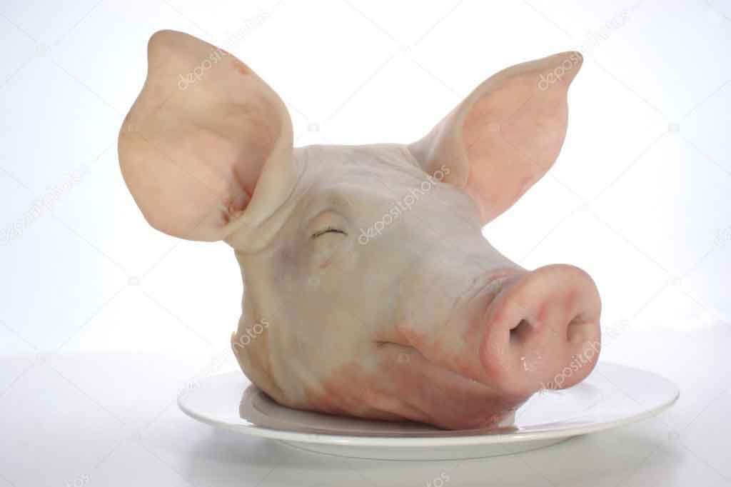TETE DE PORC ABAT Boucherie Remy